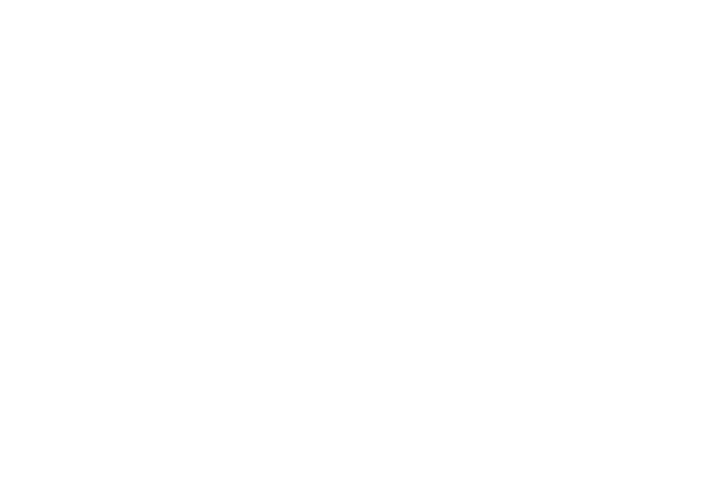 The WizeWay